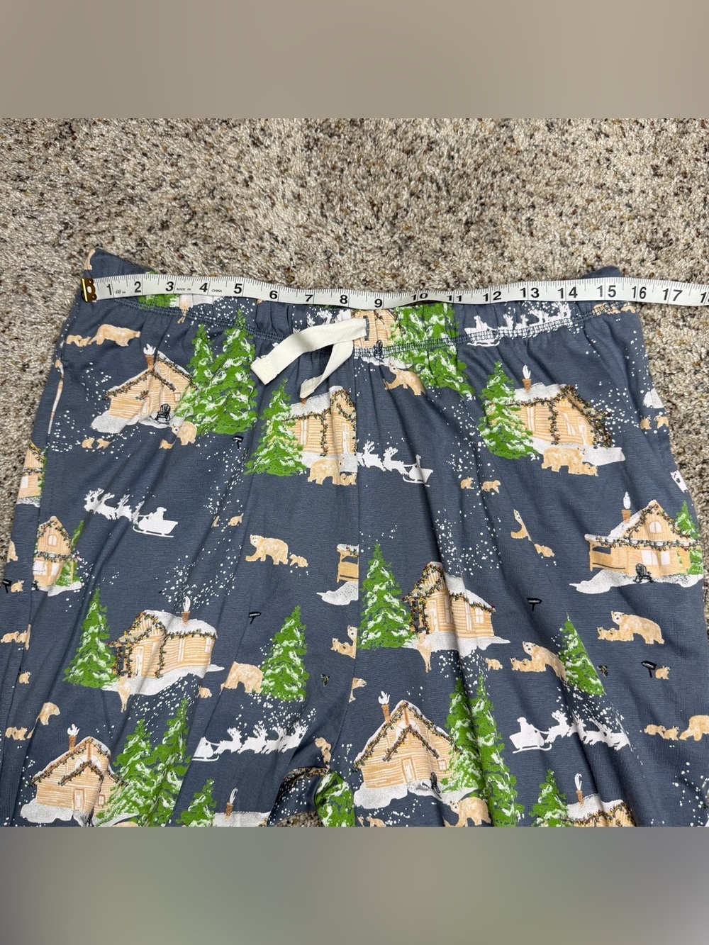 Burt’s Bees Baby Home Sweet Home Pajama Set Extra Large XL NWT Prairie Blue - Picture 8 of 10